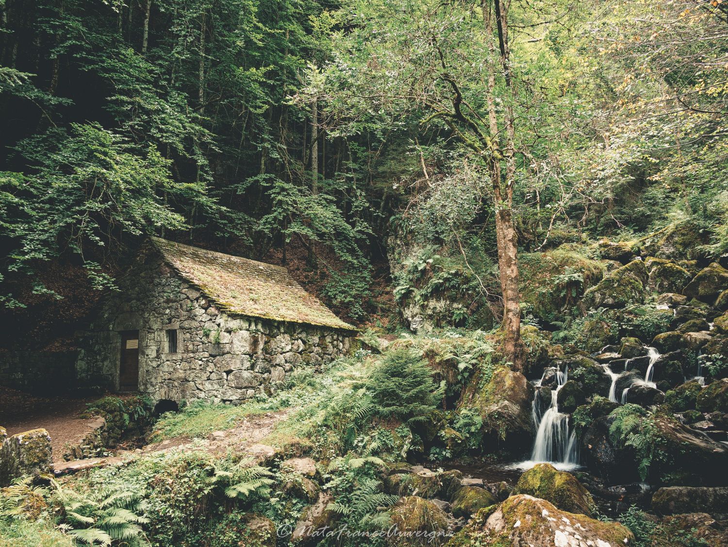 J4 Moulin et Cascade de Chambeuil août 2023 by @NataFranceAuvergne-5005